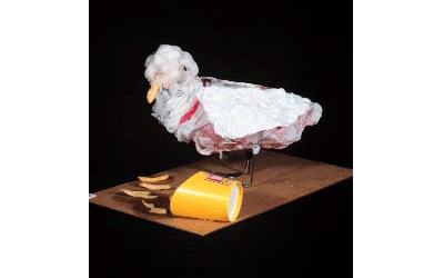 Trash Seagul